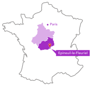 Localisation Epineuil-le-Fleuriel