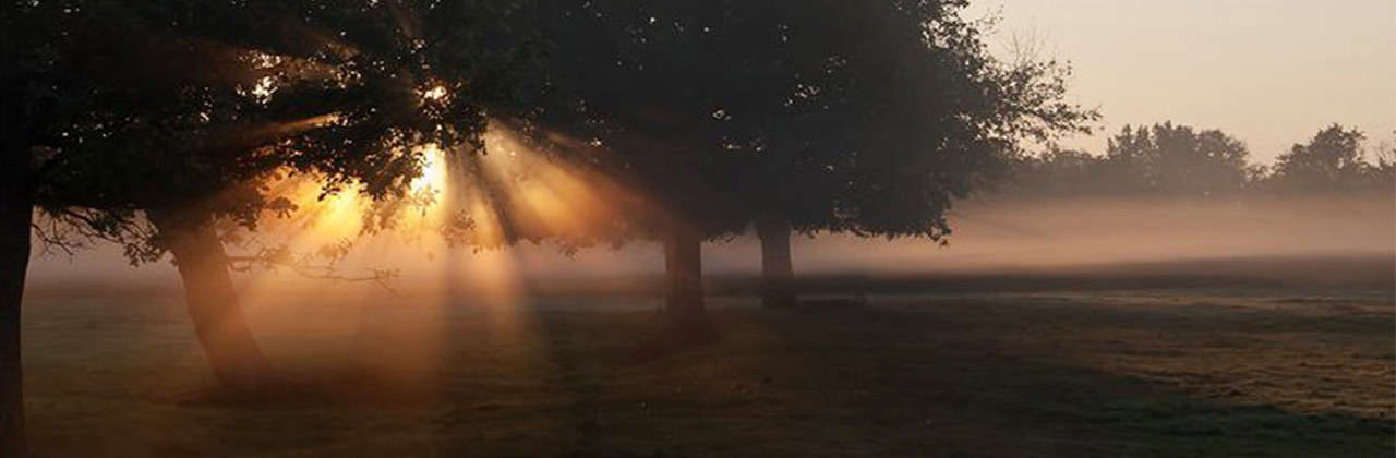 paysage-berry-magique