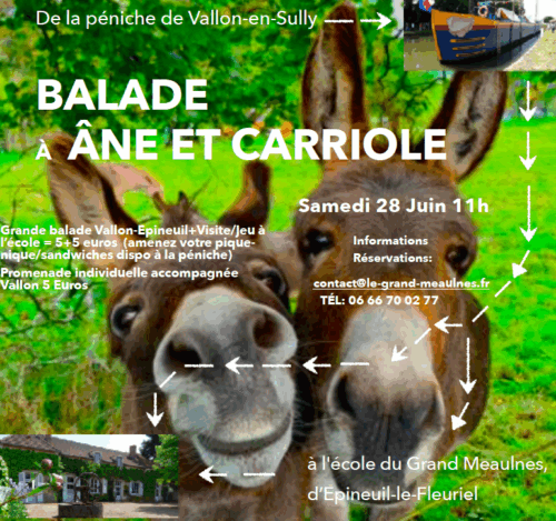 Promenade Vallon-Ecole d’Epineuil à âne et carriole